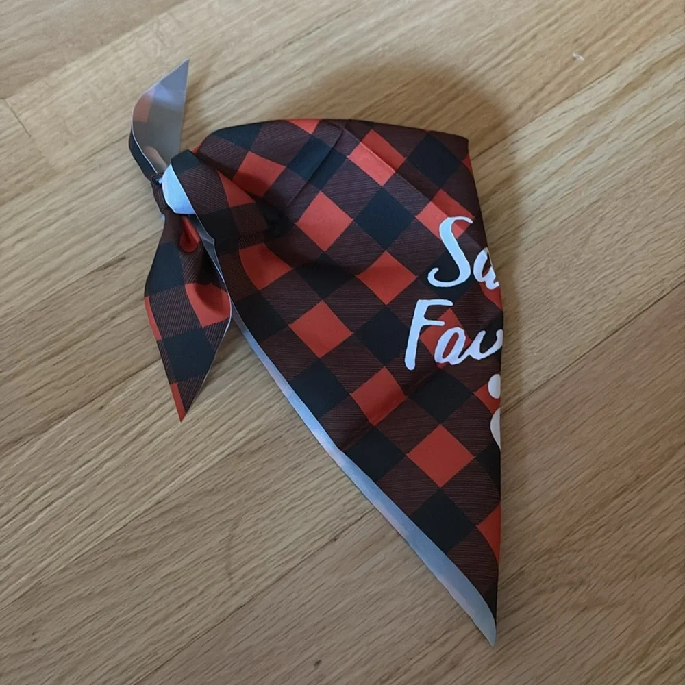 Santa’s Favorite Pet Bandana Cats and Dogs